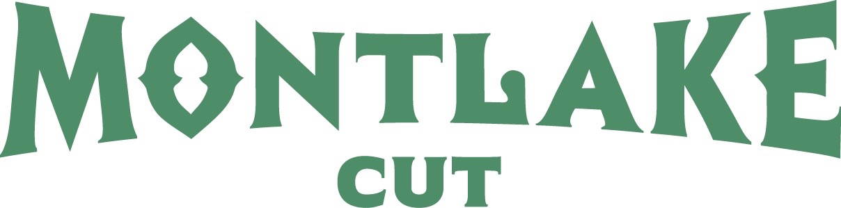 Montlake Cut
